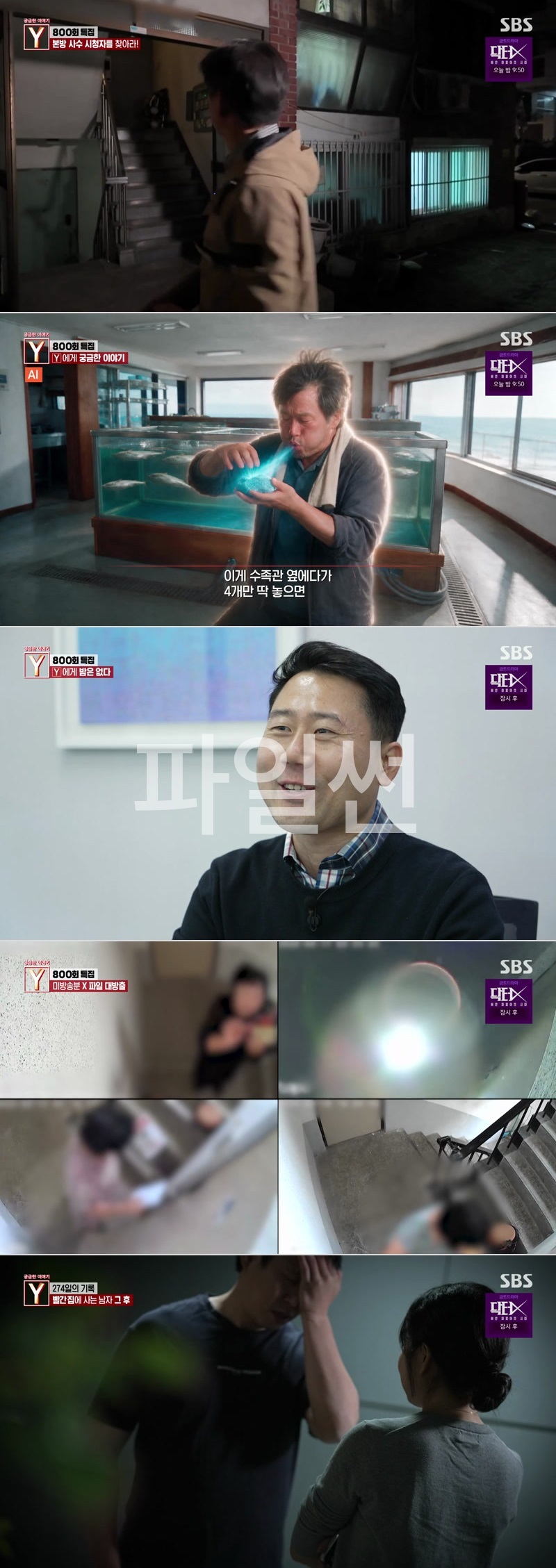 궁금한 이야기 Y.E800.261023.1080p.H264-F1RST