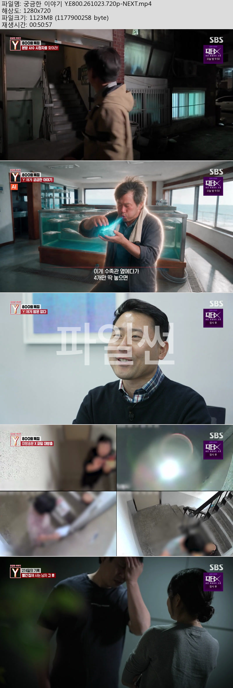 궁금한 이야기 Y.E800.261023.720p-NEXT