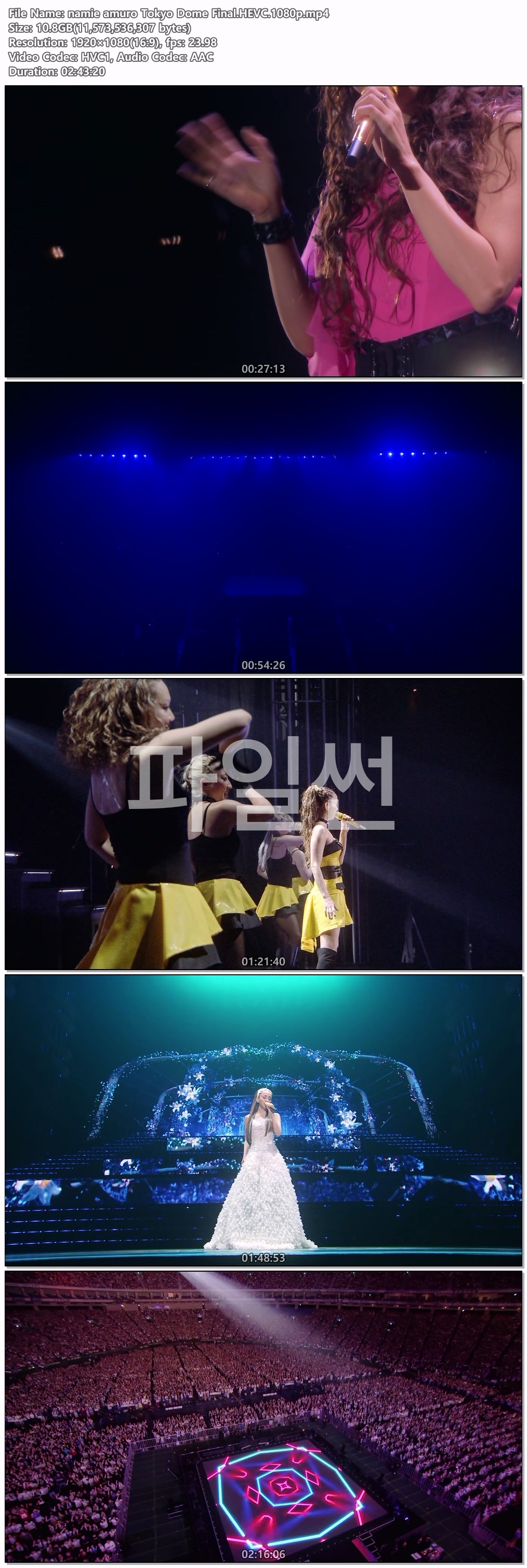 아무로 나미에 namie amuro Tokyo Dome Final.HEVC.1080p