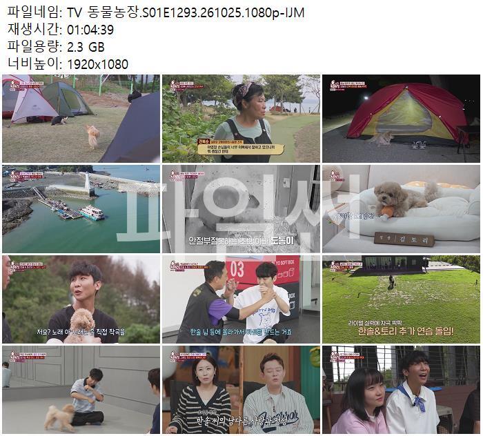 TV 동물농장.S01E1293.261025.1080p-IJM