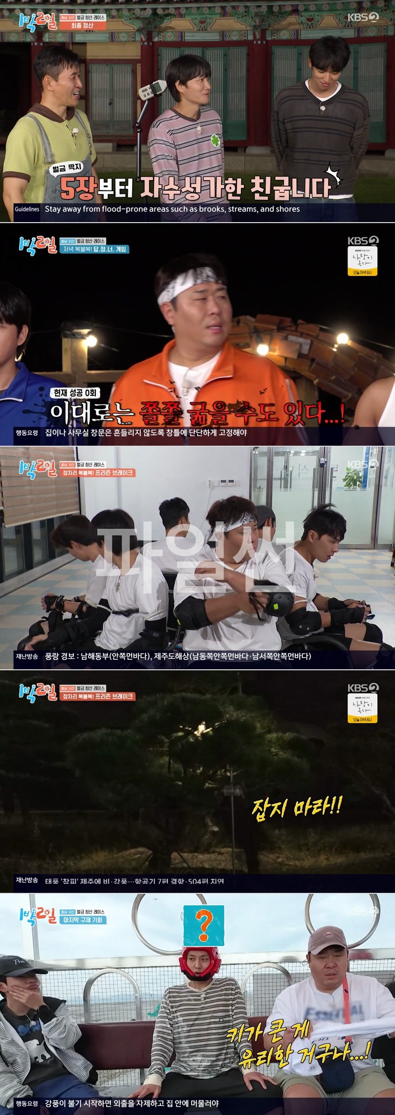 1박 2일 시즌4.E347.261025.1080p.H264-F1RST