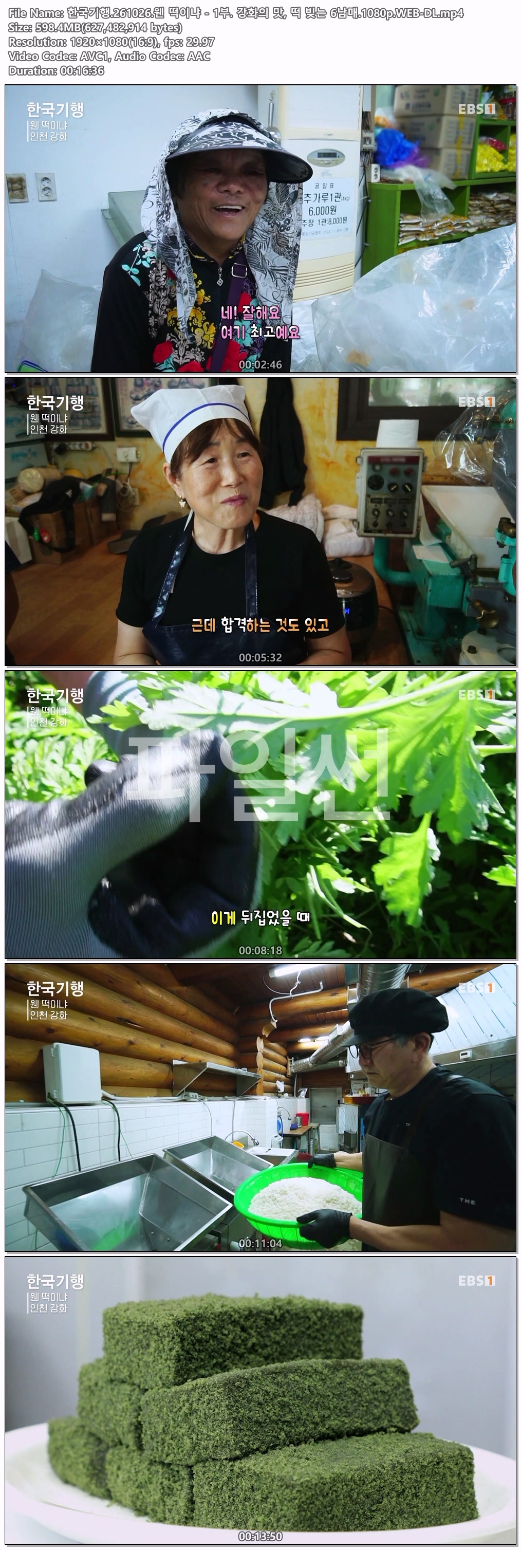 한국기행.261026.웬 떡이냐 - 1부. 강화의 맛, 떡 빚는 6남매.1080p.WEB-DL