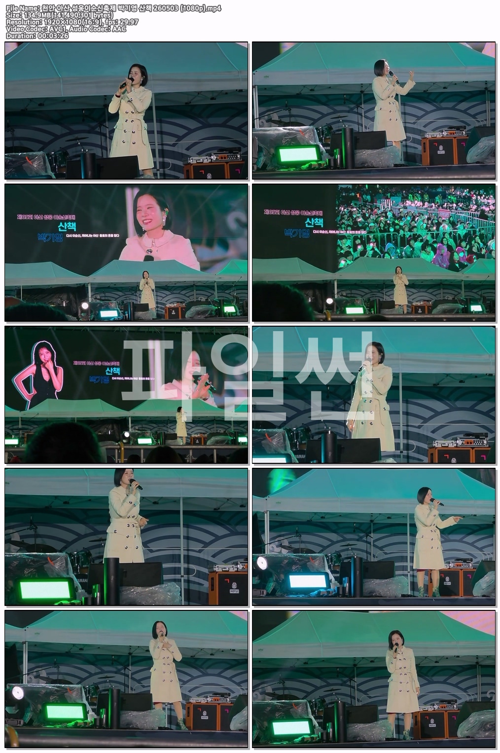 천안 아산 성웅이순신축제 박기영 산책 26050..