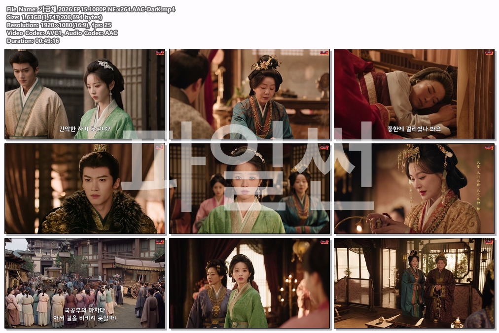 가금채.2026.EP15.1080P.NF.x264.AAC-DarK