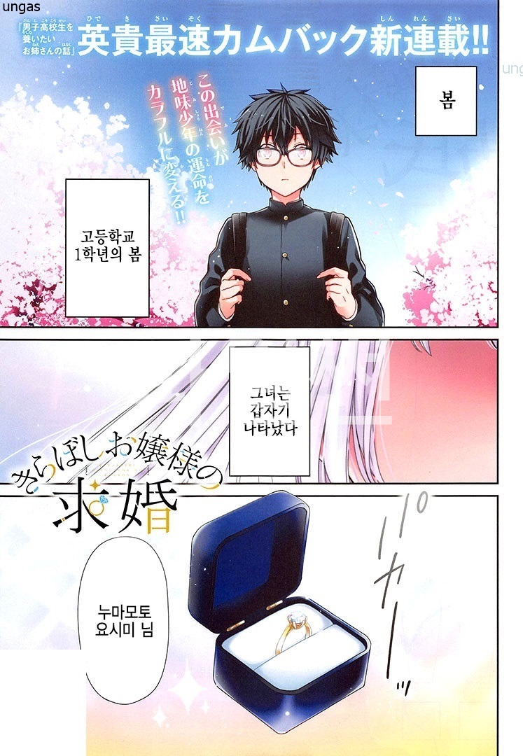키라보시 아가씨의 구혼 01-37 [완결] + 권말 번외포함