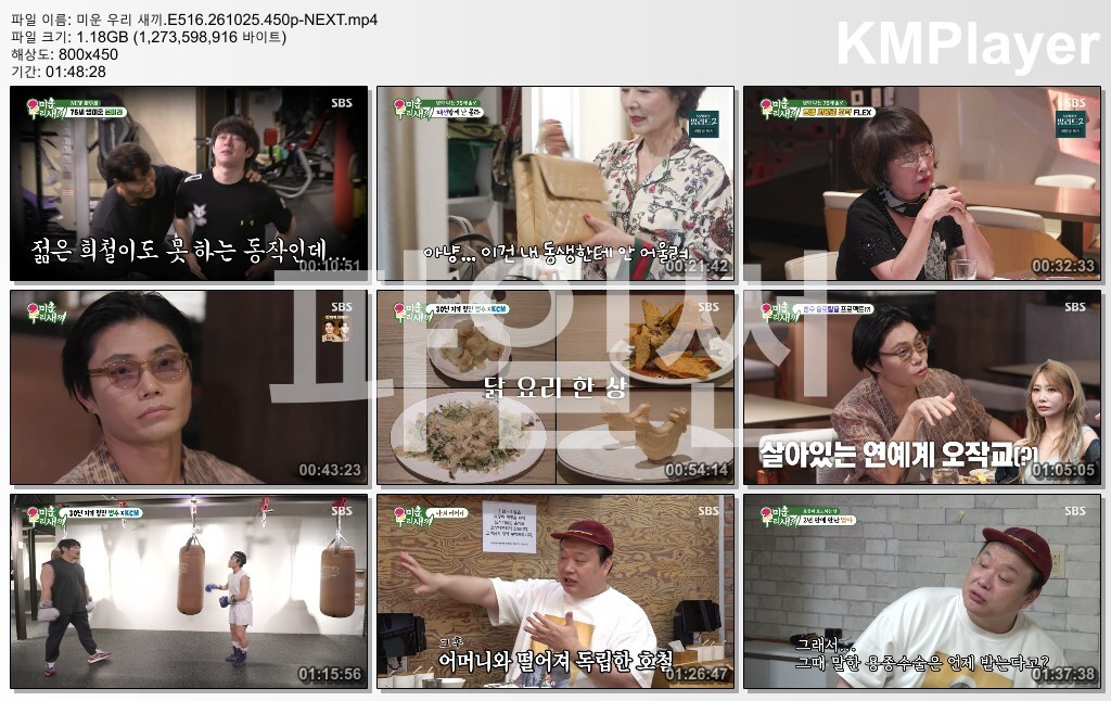 미운 우리 새끼.E516.261025.450p-NEXT