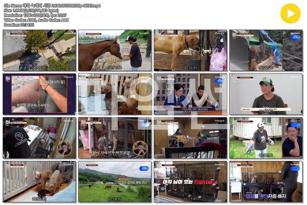 개와 늑대의 시간 2.E40.261028.720p-NEXT