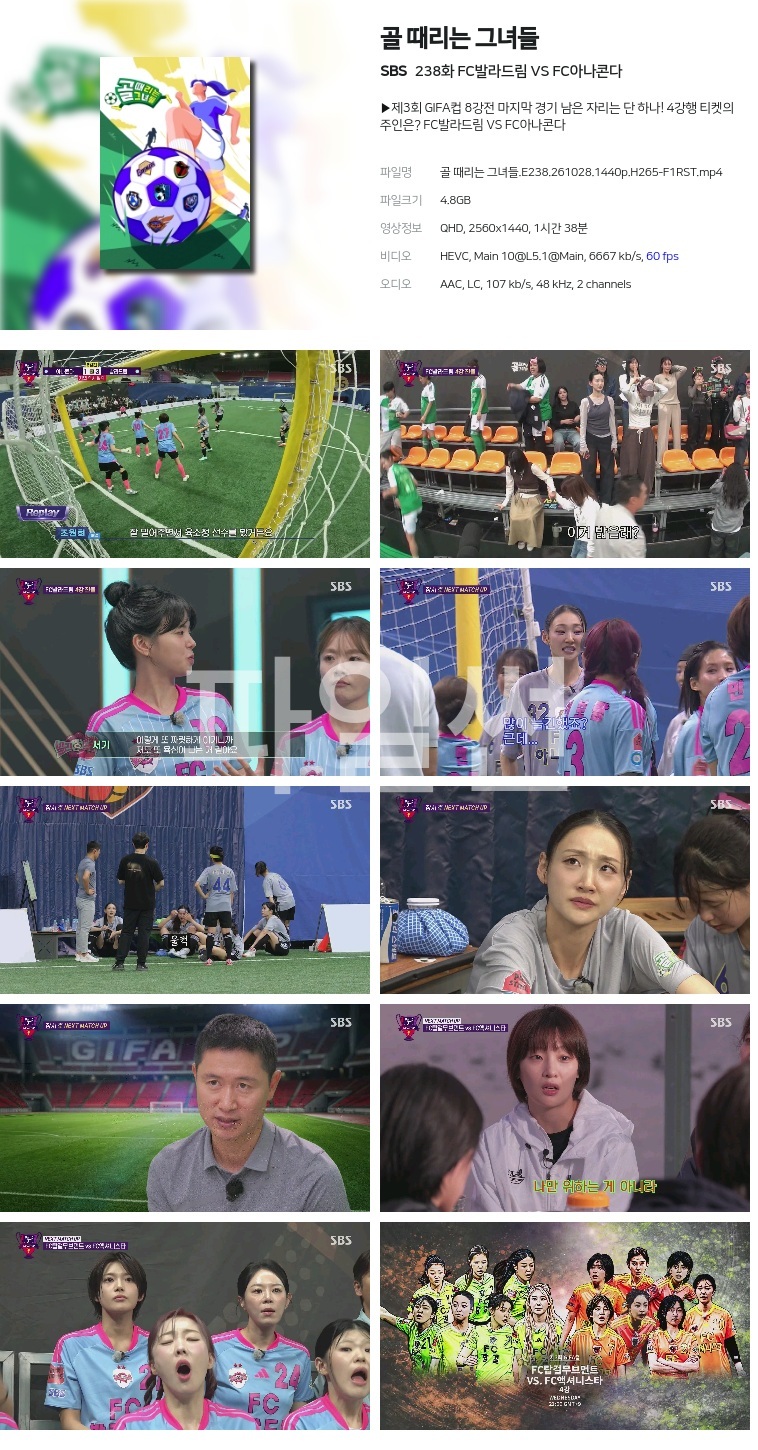 골 때리는 그녀들.E238.261028.1440p.H265-F1RST