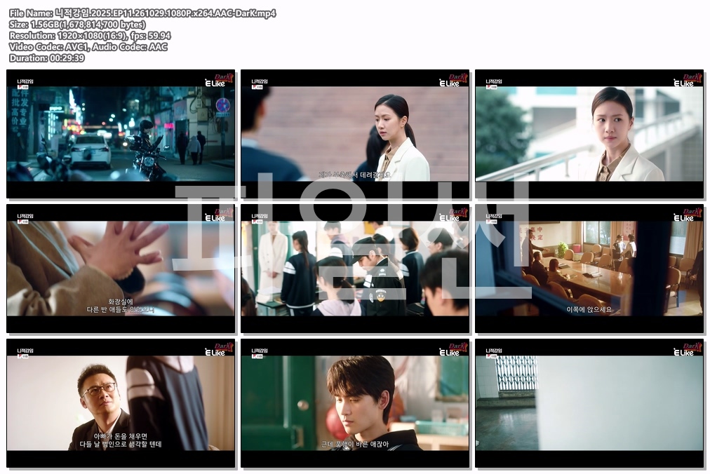 니적강임.2025.EP11.261029.1080P.x264.AAC-DarK