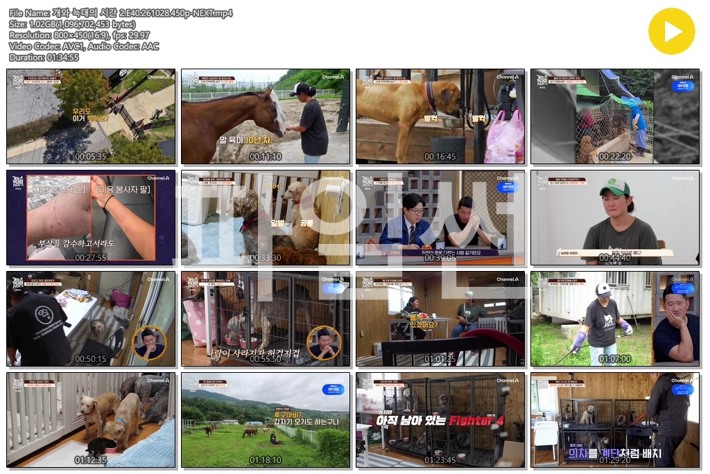개와 늑대의 시간 2.E40.261028.450p-NEXT