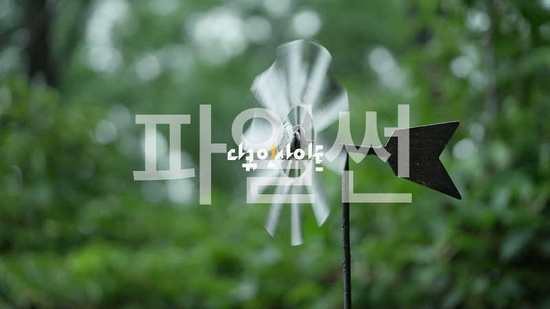다큐 인사이트 261008 날씨의 아이들