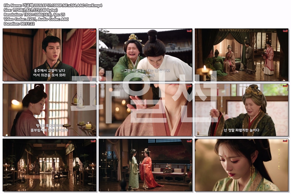 가금채.2026.EP17.1080P.NF.x264.AAC-DarK