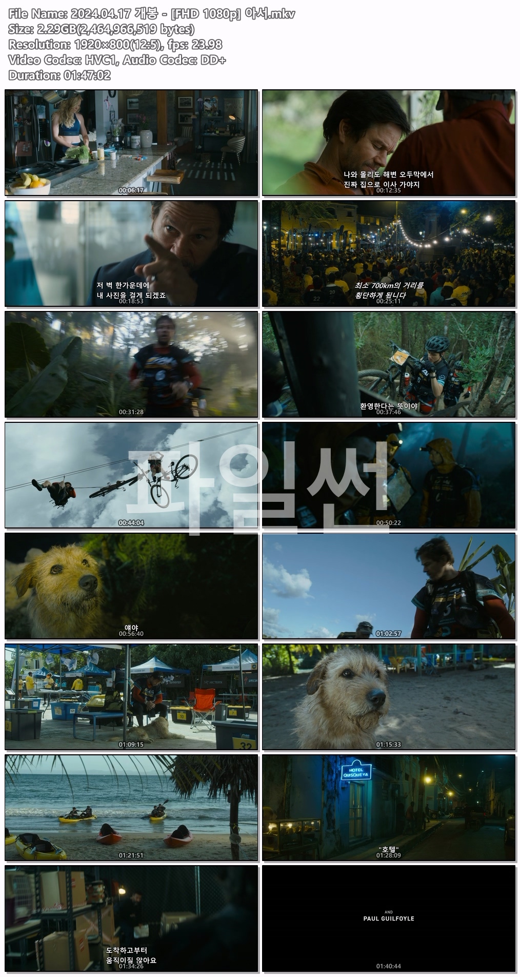 2024.04.17 개봉 - [FHD 1080p..