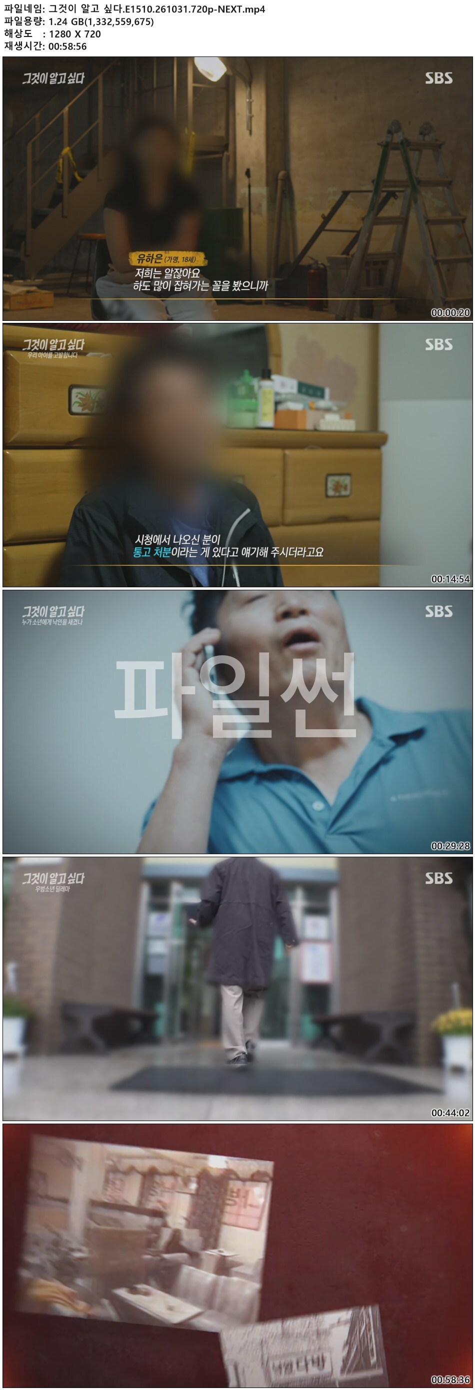 그것이 알고 싶다.E1510.261031.720p-NEXT