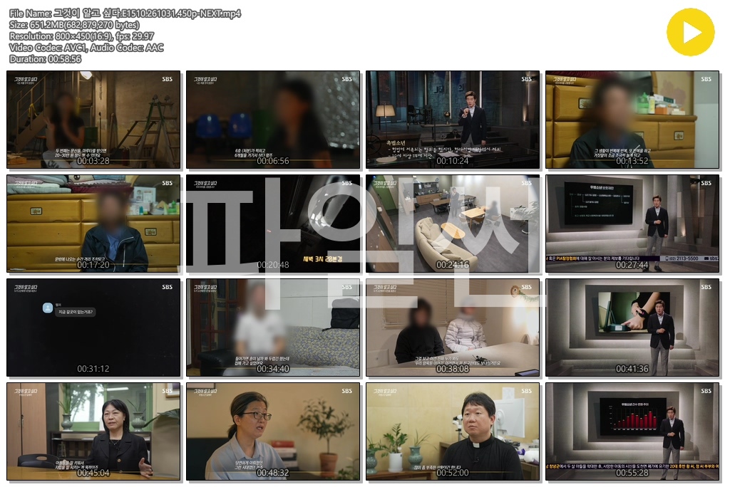 그것이 알고 싶다.E1510.261031.450p-NEXT