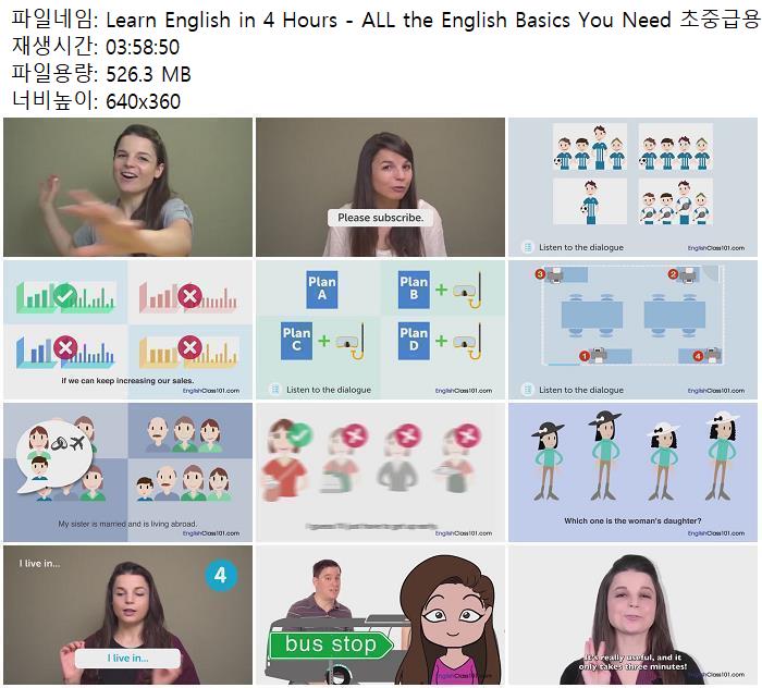 Learn English In 4 Hours - ALL The English Basics You Need 초중급용 저장 - 파일썬