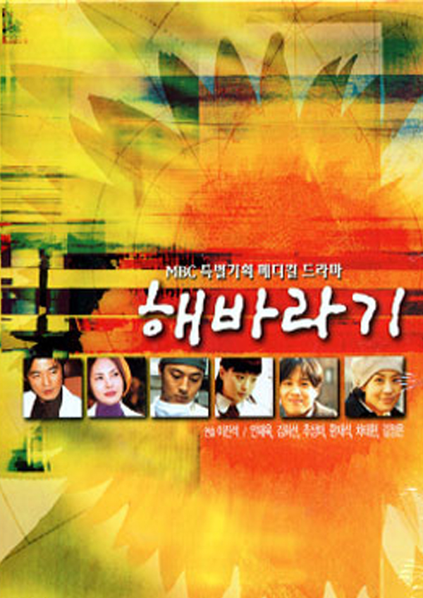 해바라기