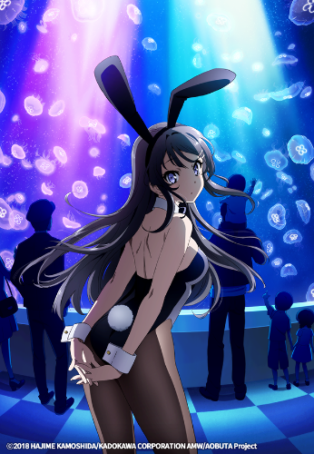 청춘 돼지는 바니걸 선배의 꿈을 꾸지 않는다